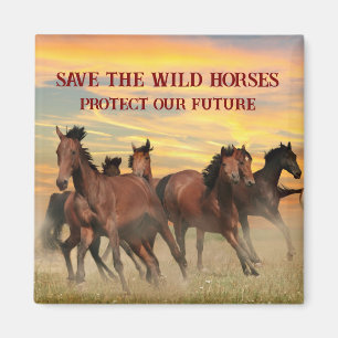 Aimant Sauvez Les Chevaux Sauvages