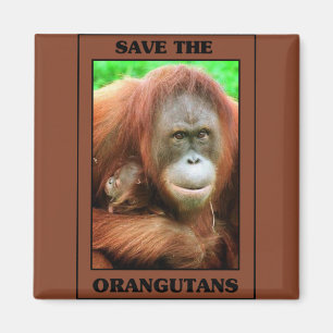 Aimant Sauvez les Orangutans