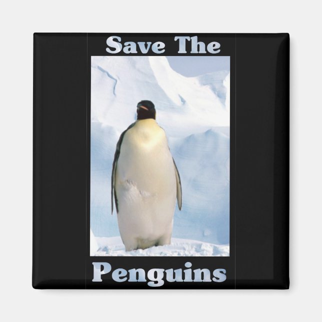 Aimant Sauvez les pingouins (Devant)