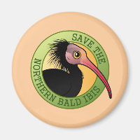 Sauvez l'ibis Northern Bald