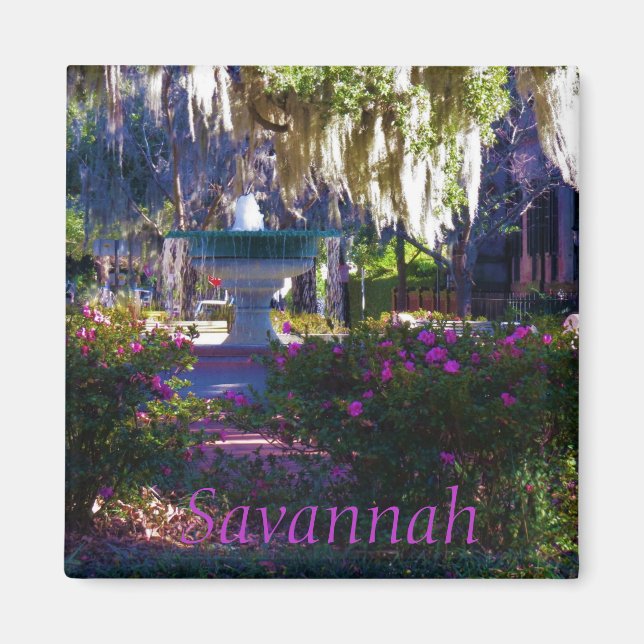 Aimant Savannah 18 (Devant)