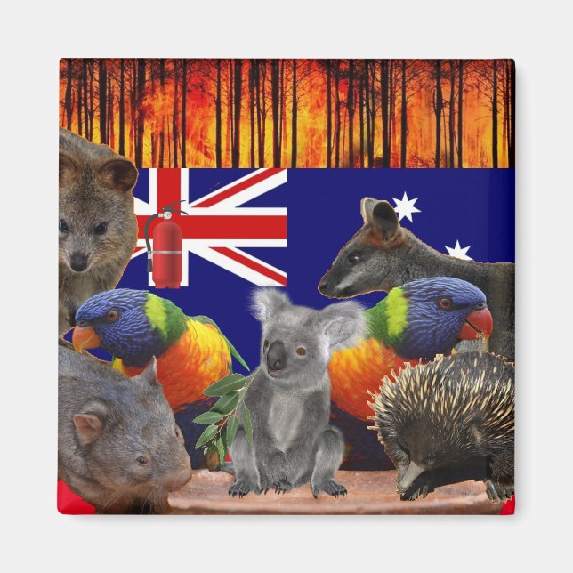 Aimant Save Our Homes - Extinguish (Devant)