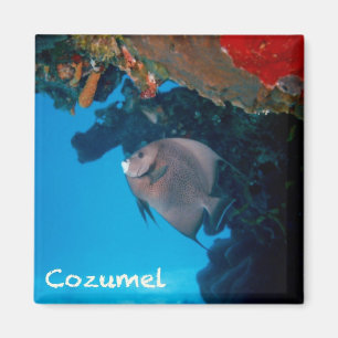 Aimant Scalaire de Cozumel