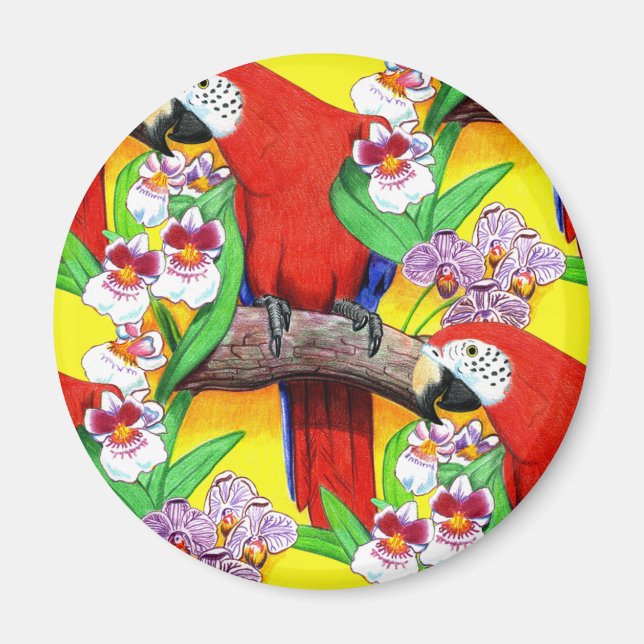 Aimant Scarlet McCaw (Devant)