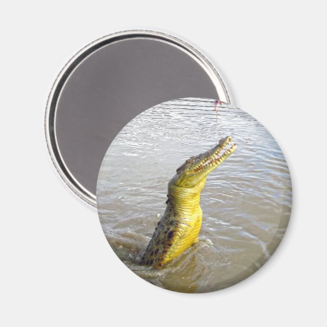Aimant Scary Snappers : Le Saut du Crocodile, (Recto/Verso)