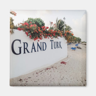 Aimant Scène De La Plage De Grand Turk