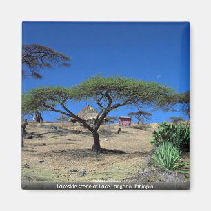 Aimant Scène du lac Langano, Éthiopie