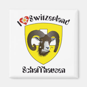 Aimant Schaffhouse Suisse