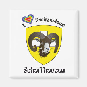 Aimant Schaffhouse Suisse