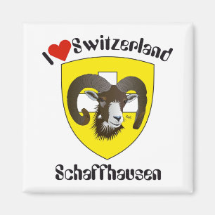 Aimant Schaffhouse Suisse