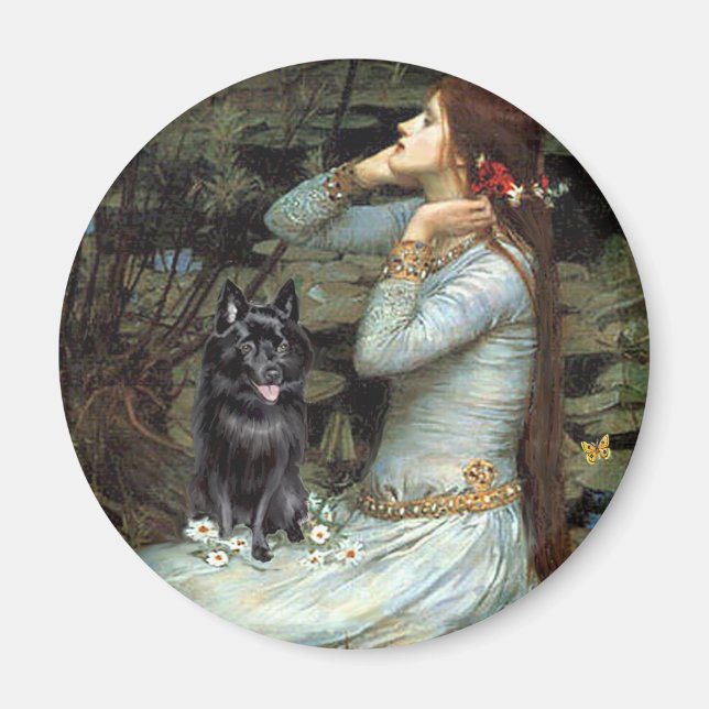 Aimant Schipperke 4 - Ophelia Siège (Devant)