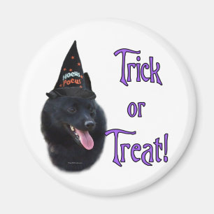 Aimant Schipperke Trick