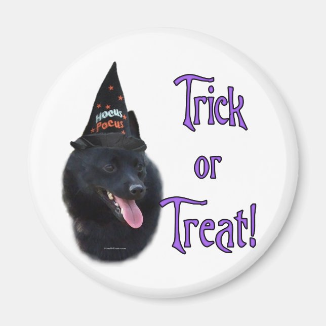 Aimant Schipperke Trick (Devant)