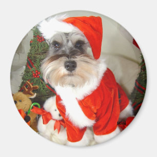 Aimant Schnauzer miniature de X'Mas de Noël
