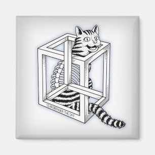 Aimant Schrodinger le chat