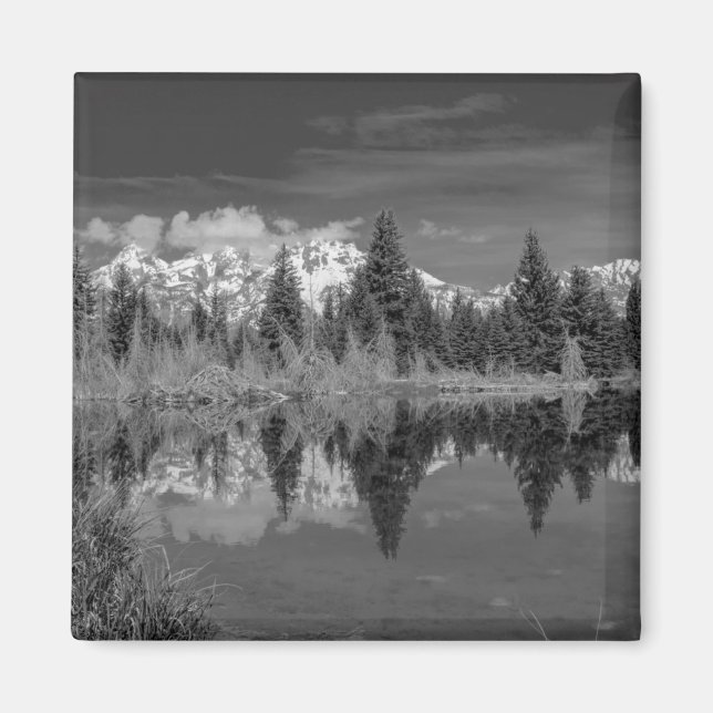 Aimant Schwabacher Landing (Devant)