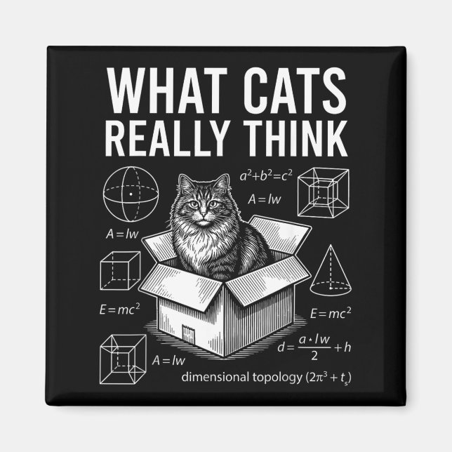 Aimant Science amusante Physique Chat dans une boîte Ce q (Devant)