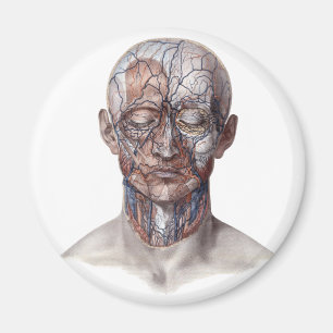 Aimant Science d'anatomie humaine vintage, tête gorge nez
