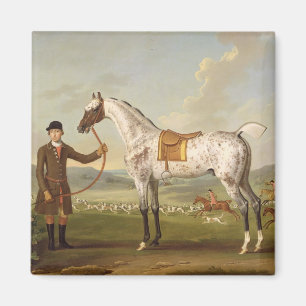 Aimant Scipio, Colonel Roche's Spotted Hunter, vers 1750