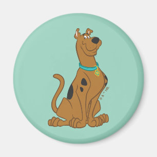 Aimant Scooby-Doo Cuter Plus que mignonne