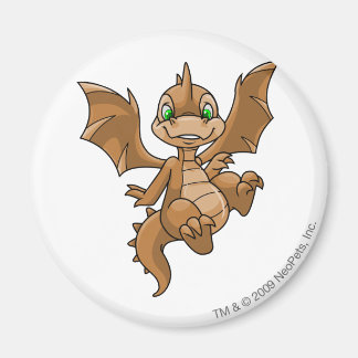 Aimant Scorchio Brown