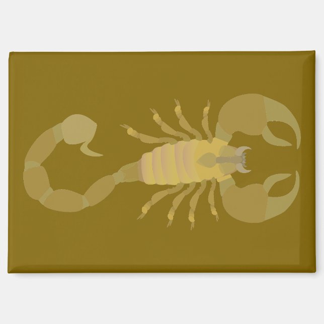 Aimant Scorpion (Recto)