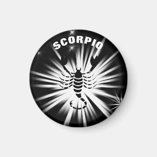 Aimant Scorpion