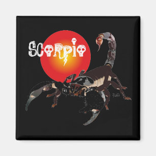 Aimant scorpion