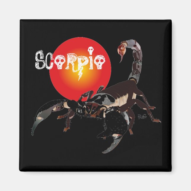 Aimant scorpion (Devant)