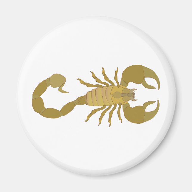 Aimant Scorpion (Devant)