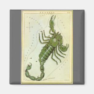 Aimant Scorpion, Constellation Ancienne Urania's Mirror