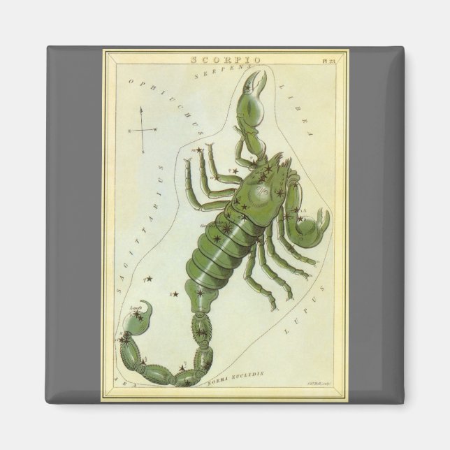 Aimant Scorpion, Constellation Ancienne Urania's Mirror (Devant)