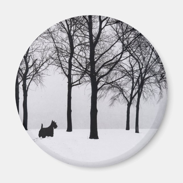 Aimant Scottie dans les bois enneigés (Devant)