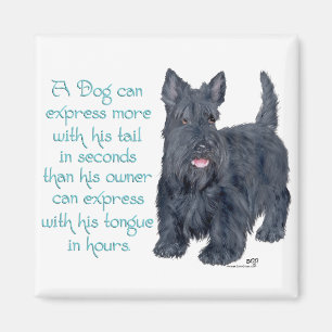 Aimant Scottish Terrier Wit & Wisdom - Talking