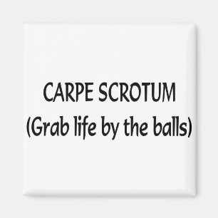 Aimant Scrotum de Carpe