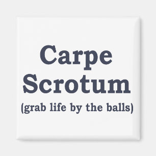Aimant Scrotum de Carpe