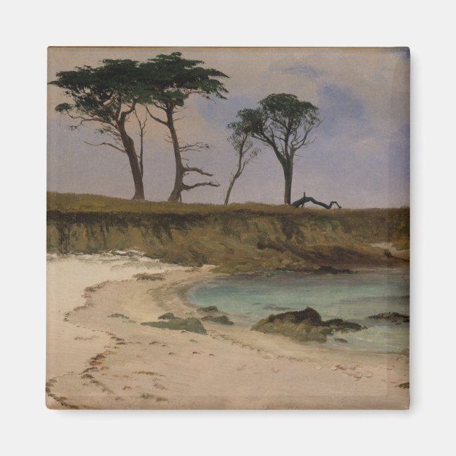 Aimant Sea Cove (Devant)