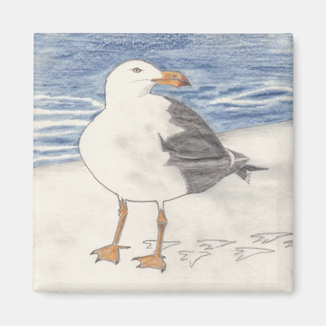 Aimant SEA GULL (carré) (Devant)