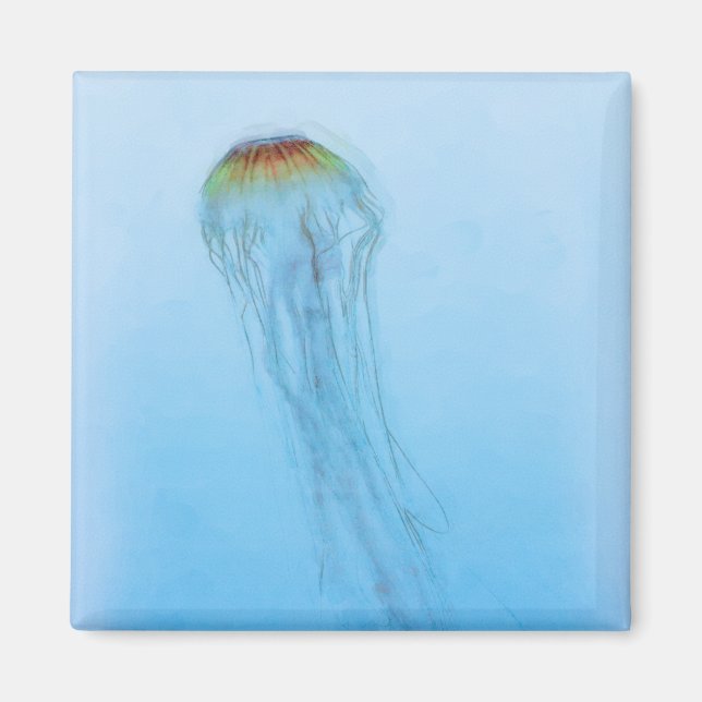 Aimant Sea Nettle (Devant)