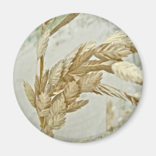 Aimant Sea Oats Outer Banks série NC