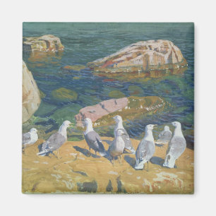 Aimant Seagulls, 1910