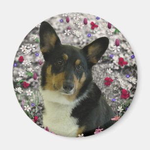 Aimant SebastiAn le corgi de Gallois en fleurs