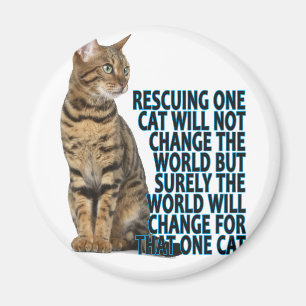AIMANT SECOURIR UN CAT NE CHANGERA PAS LE MONDE MAIS SUR