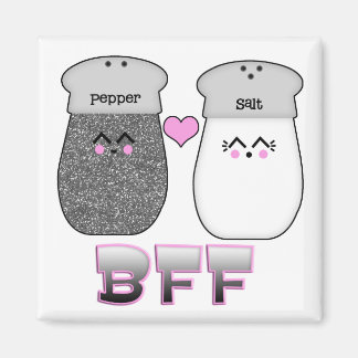 Aimant Sel Kawaii n poivre BFF
