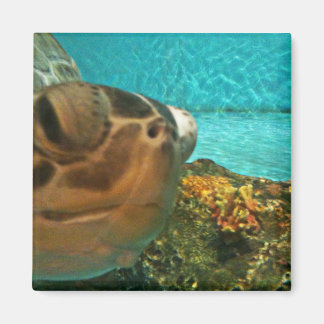 Aimant Selfie de tortue marine amusante