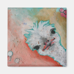 Aimant semi-transparent