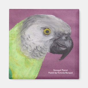 Aimant Sénégal Parrot Pastel