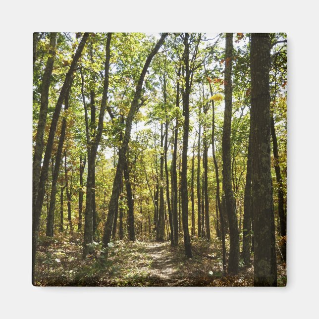 Aimant Sentier des Appalaches en octobre à Shenandoah (Devant)