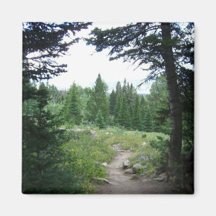 Aimant Sentier Grand Teton