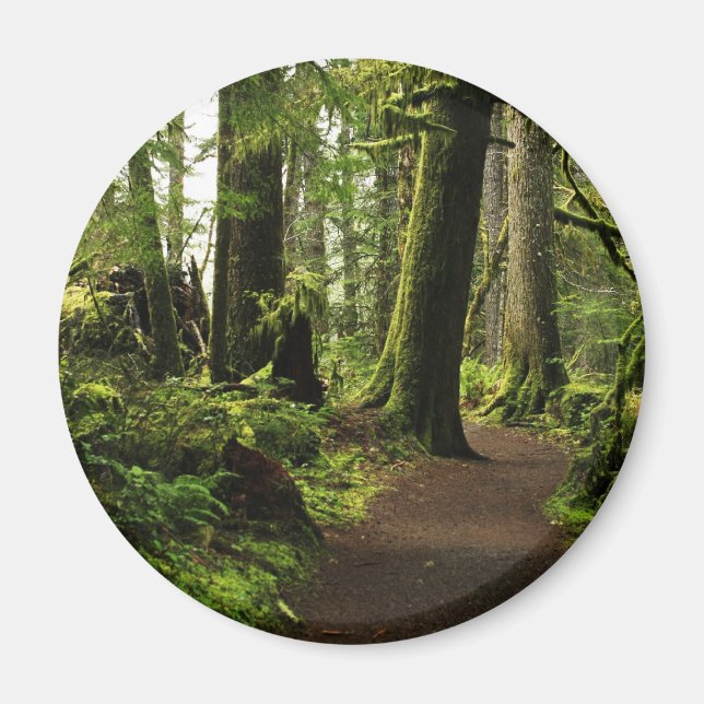 Aimant Sentier parmi les géants (Devant)